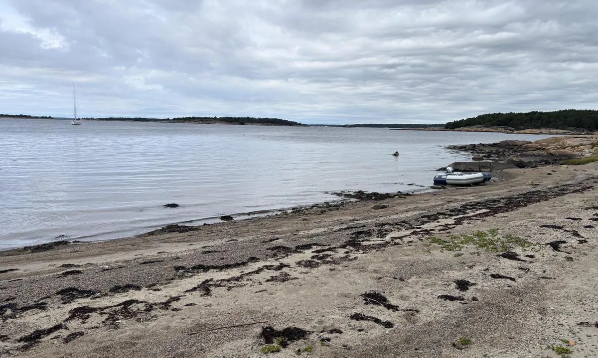 Singløya SV: {"base": "no", "no": "Langgrunn strand", "se": "L\u00e5nggrund strand", "en": "Shallow beach", "da": "Lavvandet strand", "fr": "Plage peu profonde", "de": "Flacher Strand", "es": "Playa de poca profundidad", "it": "Spiaggia a bassa profondit\u00e0", "pt": "Praia rasa", "nl": "Ondiepe strand", "pl": "P\u0142ytka pla\u017ca", "uk": "\u041c\u0456\u043b\u043a\u043e\u0432\u043e\u0434\u043d\u0438\u0439 \u043f\u043b\u044f\u0436", "ro": "Plaj\u0103 cu fund mic", "tr": "S\u0131\u011f k\u0131y\u0131", "el": "\u03a1\u03b7\u03c7\u03ae \u03c0\u03b1\u03c1\u03b1\u03bb\u03af\u03b1", "cs": "M\u011blk\u00e1 pl\u00e1\u017e", "hu": "Lapos strand", "fi": "Matala ranta", "bg": "\u041f\u043b\u0438\u0442\u044a\u043a \u043f\u043b\u0430\u0436", "sr": "Plitka pla\u017ea", "et": "Madala veega rand", "lv": "Sekla pludmale", "lt": "Seklus papl\u016bdimys"}