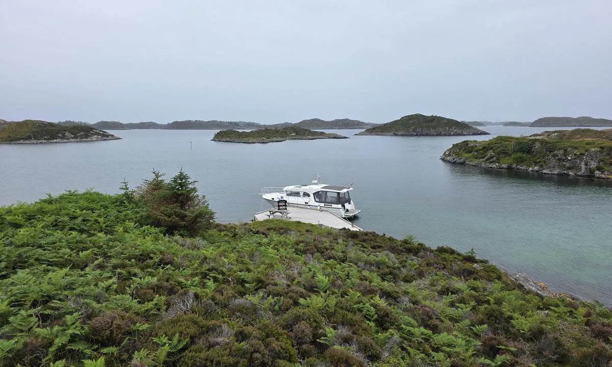 Sjøbuosen