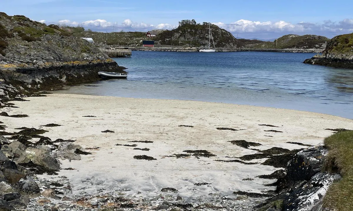Sjøbuosen: {"base": "no", "no": "Sauesanden badestrand.", "se": "Sauesanden badstrand.", "en": "Sauesanden bathing beach.", "da": "Sauesanden badestrand.", "fr": "Plage de Sauesanden.", "de": "Sauesanden Strand.", "es": "Playa Sauesanden.", "it": "Spiaggia Sauesanden.", "pt": "Praia Sauesanden.", "nl": "Sauesanden strand.", "pl": "Pla\u017ca Sauesanden.", "uk": "\u041f\u043b\u044f\u0436 \u0421\u0430\u0443\u0441\u0430\u043d\u0434\u0435\u043d.", "ro": "Plaja Sauesanden.", "tr": "Sauesanden plaj\u0131.", "el": "\u03a0\u03b1\u03c1\u03b1\u03bb\u03af\u03b1 Sauesanden.", "cs": "Pl\u00e1\u017e Sauesanden.", "hu": "Sauesanden strand.", "fi": "Sauesanden uimaranta.", "bg": "\u041f\u043b\u0430\u0436\u044a\u0442 \u0421\u0430\u0443\u0441\u0430\u043d\u0434\u0435\u043d.", "sr": "\u041f\u043b\u0430\u0436\u0430 \u0421\u0430\u0443\u0441\u0430\u043d\u0434\u0435\u043d.", "et": "Sauesanden rand.", "lv": "Sauesanden peldvieta.", "lt": "Sauesanden papl\u016bdimys."}