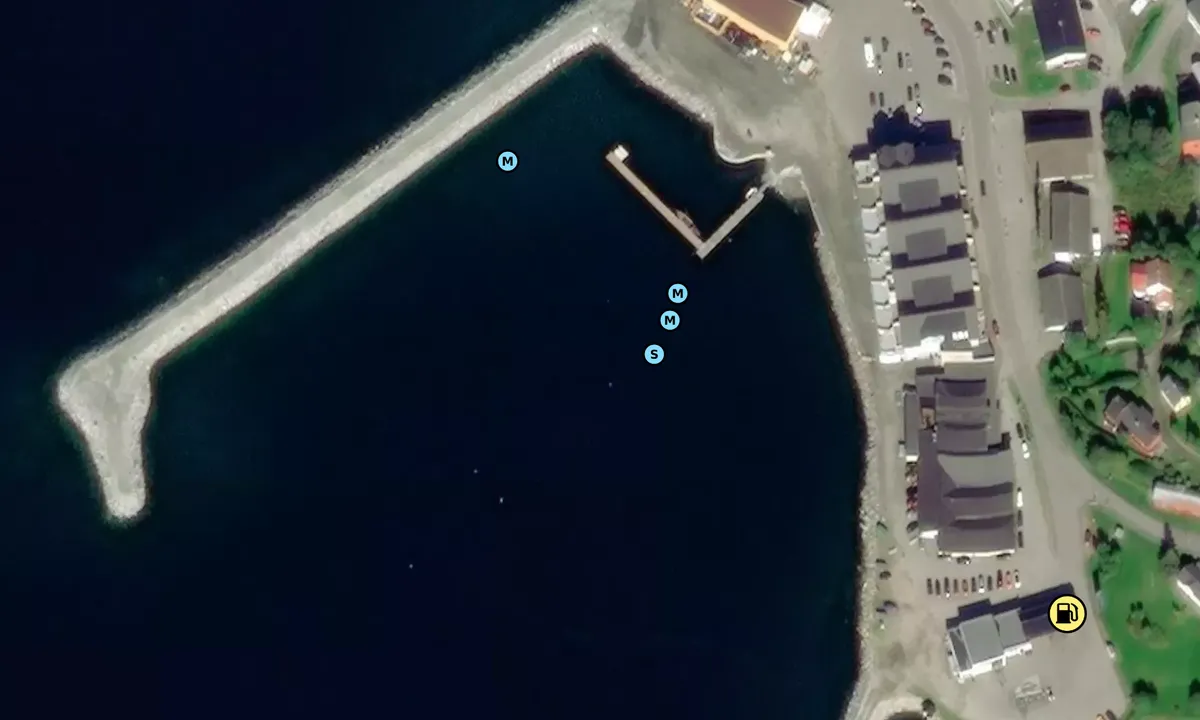 Satelite image of Sjøvegan Millionfisken