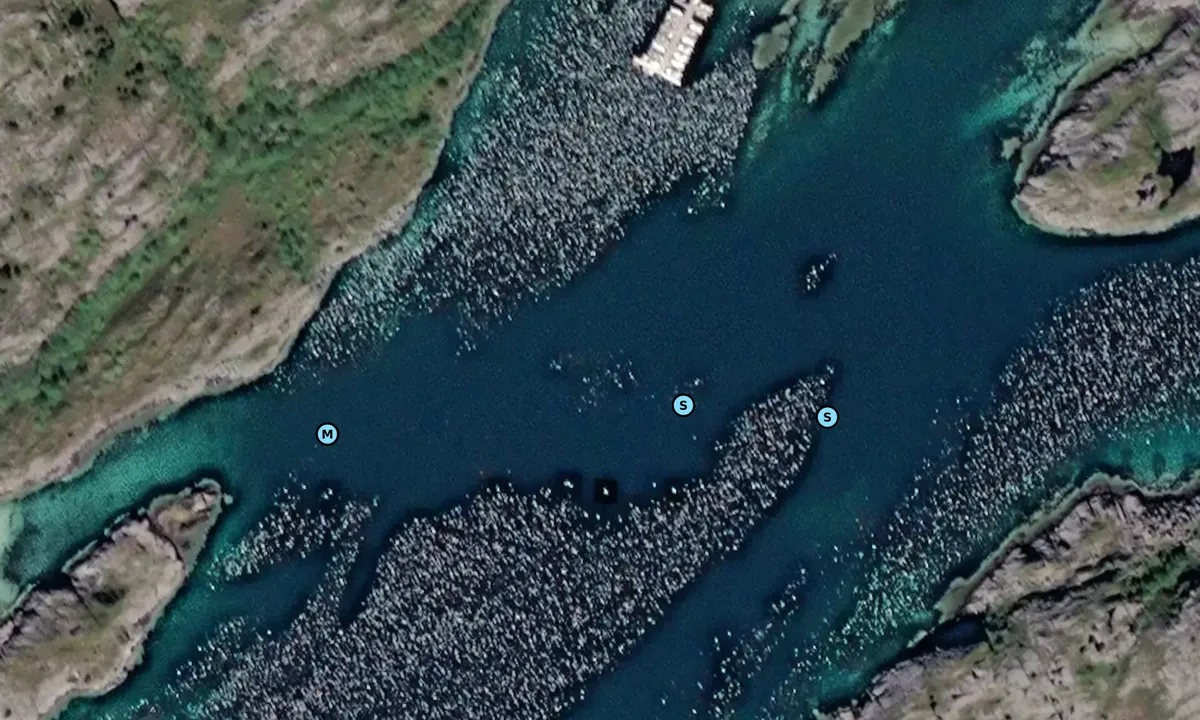 Satelite image of Sjøvika