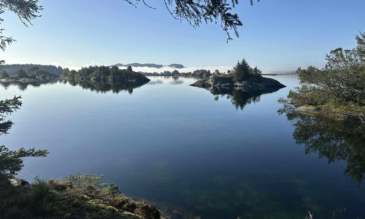 På Vest siden av Skageneset er det et fint område å ankre opp og ligge på svai.