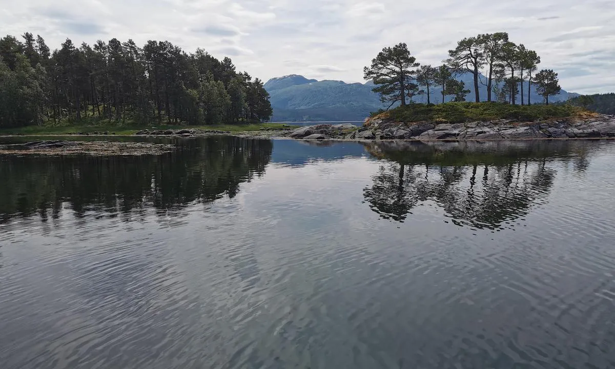 Skålvikfjorden / Liabøen