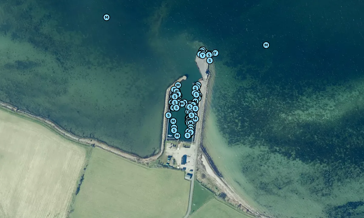 Satelite image of Skarø Havn