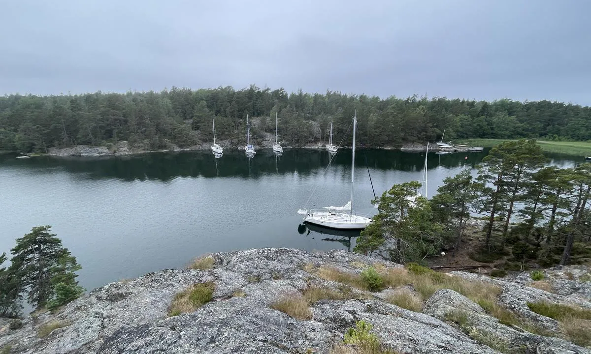 Skärvassa: {"base": "se", "no": "H\u00f8yt fjell gir god beskyttelse mot vinden", "se": "H\u00f6gt berg ger gott vindskydd", "en": "High mountain provides good wind protection", "da": "H\u00f8jt bjerg giver god vindbeskyttelse", "fr": "Une haute montagne offre une bonne protection contre le vent", "de": "Hoher Berg bietet guten Windschutz", "es": "Monta\u00f1a alta proporciona buen resguardo del viento", "it": "Una montagna alta offre un buon riparo dal vento", "pt": "Alta montanha oferece boa prote\u00e7\u00e3o contra o vento", "nl": "Hoge berg biedt goede beschutting tegen de wind", "pl": "Wysoka g\u00f3ra zapewnia dobr\u0105 os\u0142on\u0119 przed wiatrem", "uk": "\u0412\u0438\u0441\u043e\u043a\u0430 \u0433\u043e\u0440\u0430 \u043d\u0430\u0434\u0430\u0454 \u0434\u043e\u0431\u0440\u0438\u0439 \u0437\u0430\u0445\u0438\u0441\u0442 \u0432\u0456\u0434 \u0432\u0456\u0442\u0440\u0443", "ro": "Un munte \u00eenalt ofer\u0103 un bun ad\u0103post \u00eempotriva v\u00e2ntului", "tr": "Y\u00fcksek da\u011f iyi r\u00fczgar s\u0131\u011f\u0131na\u011f\u0131 sa\u011flar", "el": "\u0388\u03bd\u03b1 \u03c8\u03b7\u03bb\u03cc \u03b2\u03bf\u03c5\u03bd\u03cc \u03c0\u03c1\u03bf\u03c3\u03c6\u03ad\u03c1\u03b5\u03b9 \u03ba\u03b1\u03bb\u03ae \u03c0\u03c1\u03bf\u03c3\u03c4\u03b1\u03c3\u03af\u03b1 \u03b1\u03c0\u03cc \u03c4\u03bf\u03bd \u03ac\u03bd\u03b5\u03bc\u03bf", "cs": "Vysok\u00e1 hora poskytuje dobr\u00fd z\u00e1v\u011bt\u0159\u00ed", "hu": "A magas hegy j\u00f3 sz\u00e9lv\u00e9delmet ny\u00fajt.", "fi": "Korkea vuori tarjoaa hyv\u00e4n tuulensuojan", "bg": "\u0412\u0438\u0441\u043e\u043a\u0430\u0442\u0430 \u043f\u043b\u0430\u043d\u0438\u043d\u0430 \u043e\u0441\u0438\u0433\u0443\u0440\u044f\u0432\u0430 \u0434\u043e\u0431\u0440\u0430 \u0437\u0430\u0449\u0438\u0442\u0430 \u043e\u0442 \u0432\u044f\u0442\u044a\u0440\u0430", "sr": "Visoka planina pru\u017ea dobru za\u0161titu od vetra", "et": "K\u00f5rge m\u00e4gi annab hea tuulekaitse", "lv": "Augsts kalns nodro\u0161ina labu v\u0113ja aizsardz\u012bbu", "lt": "Auk\u0161tas kalnas suteikia ger\u0105 apsaug\u0105 nuo v\u0117jo"}