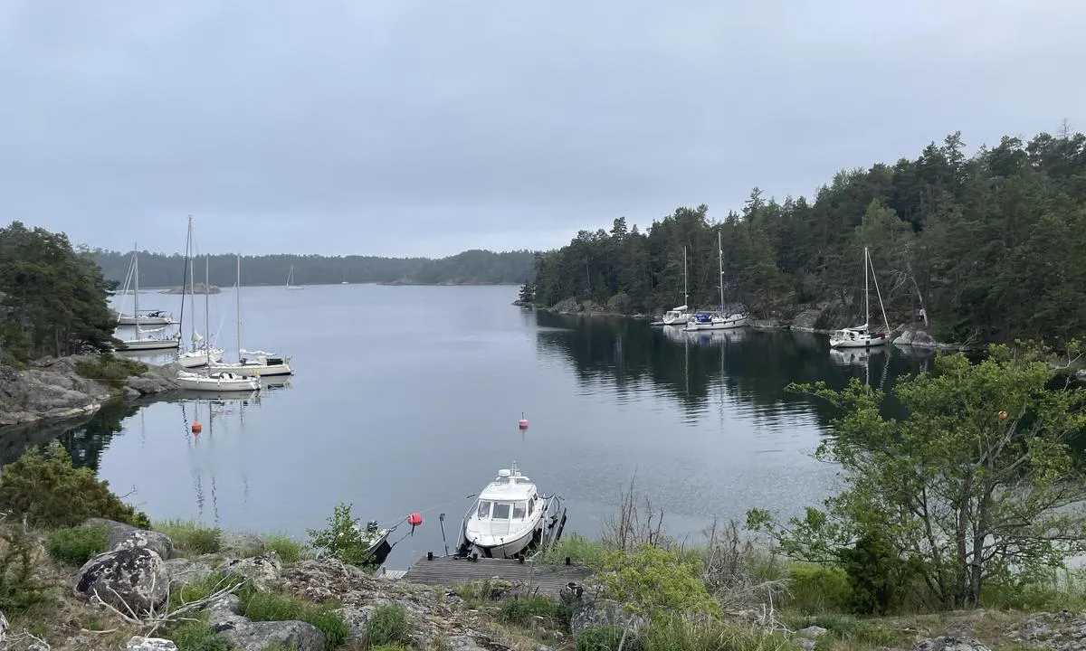 Skärvassa: {"base": "se", "no": "Skjervassundet fra vest", "se": "Sk\u00e4rvassundet fr\u00e5n v\u00e4ster", "en": "Sk\u00e4rvassundet from the west", "da": "Sk\u00e6rvassundet fra vest", "fr": "Sk\u00e4rvassundet depuis l'ouest", "de": "Sk\u00e4rvassundet von Westen", "es": "Sk\u00e4rvassundet desde el oeste", "it": "Sk\u00e4rvassundet da ovest", "pt": "Sk\u00e4rvassundet do oeste", "nl": "Sk\u00e4rvassundet vanuit het westen", "pl": "Sk\u00e4rvassundet od zachodu", "uk": "\u0421\u043a\u0430\u0440\u0432\u0430\u0441\u0441\u0443\u043d\u0434 \u0432\u0456\u0434 \u0437\u0430\u0445\u043e\u0434\u0443", "ro": "Str\u00e2mtoarea Sk\u00e4rvassundet dinspre vest", "tr": "Bat\u0131dan Sk\u00e4rvassundet", "el": "\u03a3\u03c4\u03b5\u03bd\u03cc \u03a3\u03ba\u03b1\u03c1\u03b2\u03ac\u03c3\u03c3\u03c3\u03bf\u03c5\u03bd\u03c4\u03b5\u03c4 \u03b1\u03c0\u03cc \u03b4\u03c5\u03c4\u03b9\u03ba\u03ac", "cs": "Sk\u00e4rvassundet od z\u00e1padu", "hu": "Sk\u00e4rvassundet nyugatr\u00f3l", "fi": "Sk\u00e4rvassundet l\u00e4nnest\u00e4", "bg": "\u041f\u0440\u043e\u043b\u0438\u0432 \u0421\u043a\u0430\u0440\u0432\u0430\u0441\u0443\u043d\u0434\u0435\u0442 \u043e\u0442 \u0437\u0430\u043f\u0430\u0434", "sr": "Sk\u00e4rvassundet sa zapada", "et": "Sk\u00e4rvassund l\u00e4\u00e4ne poolt", "lv": "Skerassunds no rietumiem", "lt": "Sk\u00e4rvassundet i\u0161 vakar\u0173"}