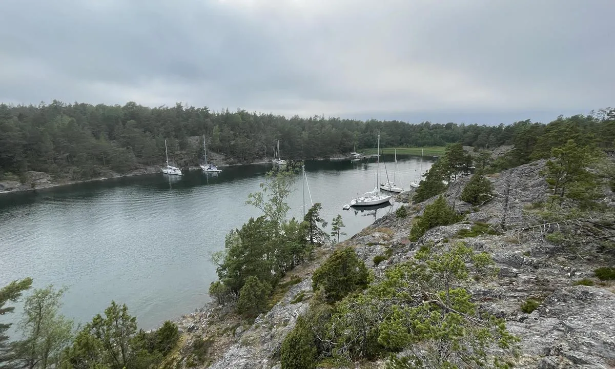 Skärvassa: {"base": "se", "no": "Skjervassundet fra \u00f8st", "se": "Sk\u00e4rvassundet fr\u00e5n \u00f6ster", "en": "Sk\u00e4rvassundet from the east", "da": "Sk\u00e6rvassundet fra \u00f8st", "fr": "Sk\u00e4rvassundet depuis l'est", "de": "Sk\u00e4rvassundet von Osten", "es": "El estrecho de Sk\u00e4rvassundet desde el este", "it": "Sk\u00e4rvassundet da est", "pt": "Sk\u00e4rvassundet do leste", "nl": "Sk\u00e4rvassundet vanuit het oosten", "pl": "Sk\u00e4rvassundet od wschodu", "uk": "\u0421\u043a\u0430\u0440\u0432\u0430\u0441\u0441\u0443\u043d\u0434 \u0432\u0456\u0434 \u0441\u0445\u043e\u0434\u0443", "ro": "Sk\u00e4rvassundet din est", "tr": "Do\u011fudan Sk\u00e4rvassundet", "el": "\u03a3\u03c4\u03b5\u03bd\u03cc Sk\u00e4rvas \u03b1\u03c0\u03cc \u03c4\u03b7\u03bd \u03b1\u03bd\u03b1\u03c4\u03bf\u03bb\u03ae", "cs": "Sk\u00e4rvassundet od v\u00fdchodu", "hu": "Sk\u00e4rvassundet keletr\u0151l", "fi": "K\u00e4rist\u00f6nsalmesta id\u00e4st\u00e4", "bg": "\u0421\u043a\u044f\u0440\u0432\u0430\u0441\u0443\u043d\u0434\u044a\u0442 \u043e\u0442 \u0438\u0437\u0442\u043e\u043a", "sr": "Sk\u00e4rvassundet sa istoka", "et": "Sk\u00e4rvassundet idast", "lv": "Sk\u00e4rvassundet no austrumiem", "lt": "Sk\u00e4rvassundet i\u0161 ryt\u0173"}