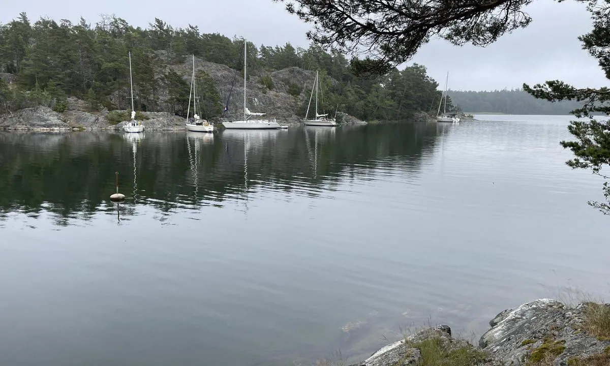 Skärvassa: {"base": "se", "no": "Skj\u00e6rvassundet fra s\u00f8r", "se": "Sk\u00e4rvasssundet fr\u00e5n s\u00f6der", "en": "Sk\u00e4rvasssundet from the south", "da": "Sk\u00e6rvasssundet fra syd", "fr": "Sk\u00e4rvasssundet depuis le sud", "de": "Sk\u00e4rvasssundet von S\u00fcden", "es": "El estrecho de Sk\u00e4rvass desde el sur", "it": "Sk\u00e4rvasssundet da sud", "pt": "Passagem de Sk\u00e4rvasssundet do sul", "nl": "Sk\u00e4rvasssundet vanuit het zuiden", "pl": "Sk\u00e4rvasssundet od po\u0142udnia", "uk": "\u0421\u043a\u0435\u0440\u0432\u0430\u0441\u0441\u0441\u0443\u043d\u0434\u0435\u0442 \u0437 \u043f\u0456\u0432\u0434\u043d\u044f", "ro": "Sk\u00e4rvasssundet din sud", "tr": "G\u00fcneyden Sk\u00e4rvasssundet", "el": "\u03a3\u03c4\u03c1\u03ad\u03c8\u03c4\u03b5 \u03c0\u03c1\u03bf\u03c2 \u03c4\u03bf \u03bd\u03cc\u03c4\u03bf", "cs": "Sk\u00e4rvasssundet z jihu", "hu": "Sk\u00e4rvasssundet d\u00e9lr\u0151l", "fi": "Sk\u00e4rvasssundet etel\u00e4st\u00e4", "bg": "\u0421\u043a\u0435\u0440\u0432\u0430\u0441\u0443\u043d\u0434\u044a\u0442 \u043e\u0442 \u044e\u0433", "sr": "Sk\u00e4rvasssundet sa juga", "et": "Sk\u00e4rvasssundet l\u00f5unast", "lv": "Sk\u0101rvasas \u0161aurums no dienvidiem", "lt": "Sk\u00e4rvasssundet i\u0161 piet\u0173"}
