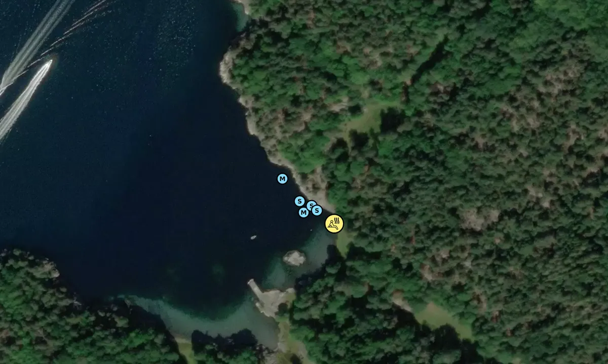 Satelite image of Skauerøya Øst