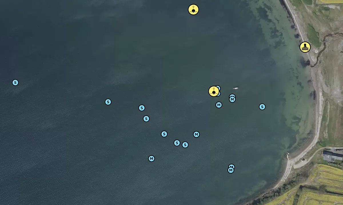 Satelite image of Skeldevig bouy