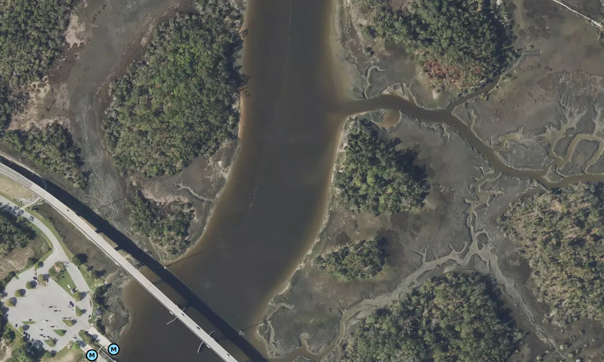 Satelite image of Skidaway Narrows north