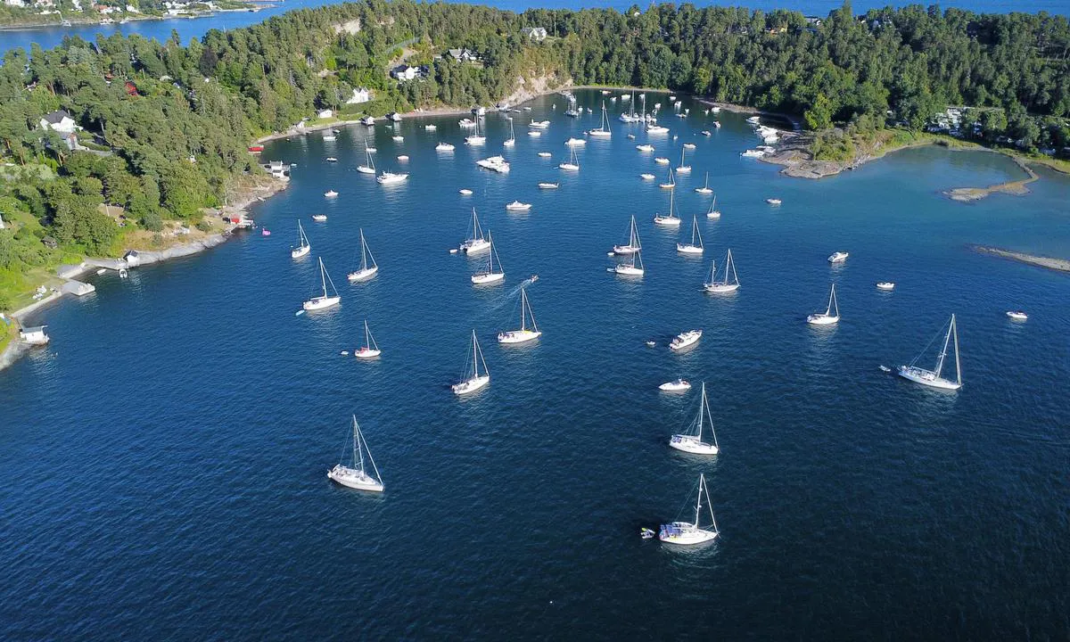 More than 50 boats anchored in Skinnerbukta