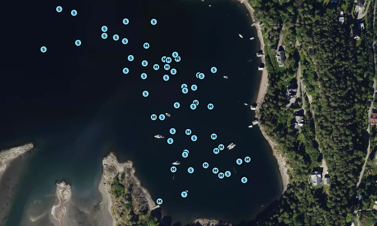 Satelite image of Skinnerbukta