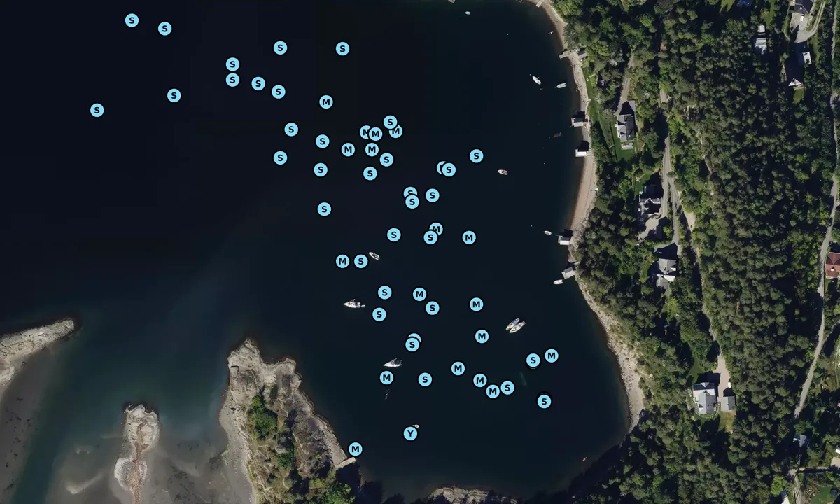 Satelite image of Skinnerbukta