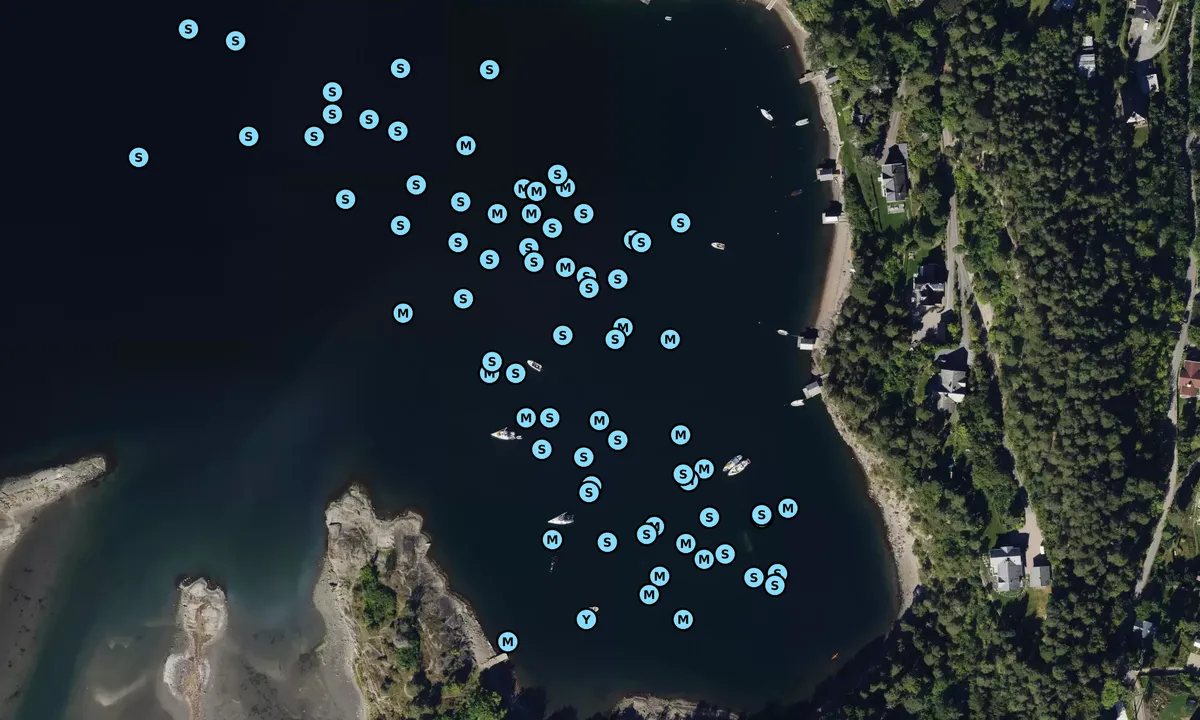 Satelite image of Skinnerbukta
