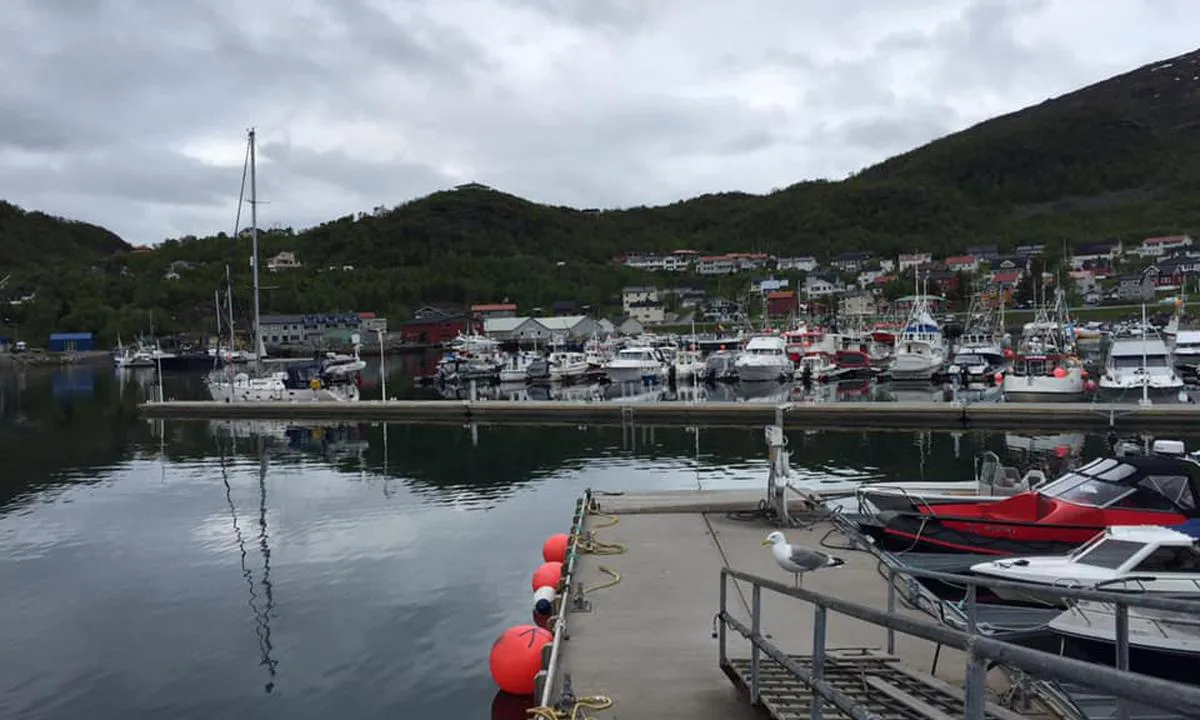 Skjervøy: Gjestebrygge sett fra drivstoffbrygge.