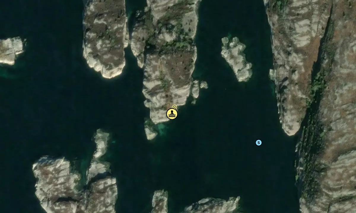 Satelite image of Skogholmen sør