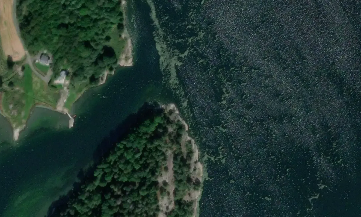 Satelite image of Skogholmen - Viksfjord
