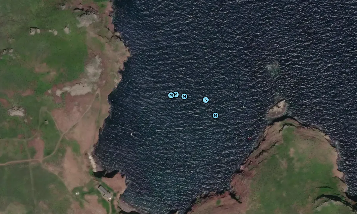Satelite image of Skomer North Haven