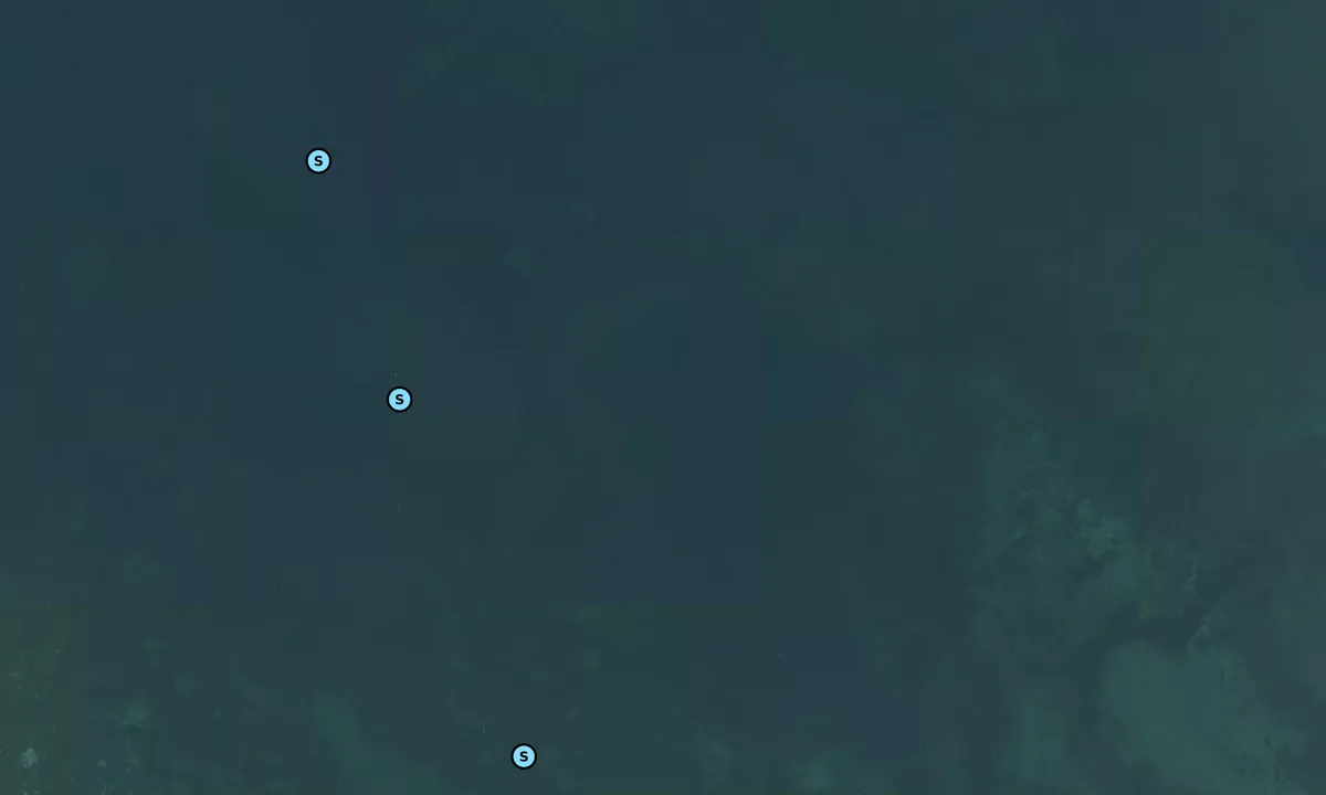 Satelite image of Skoven