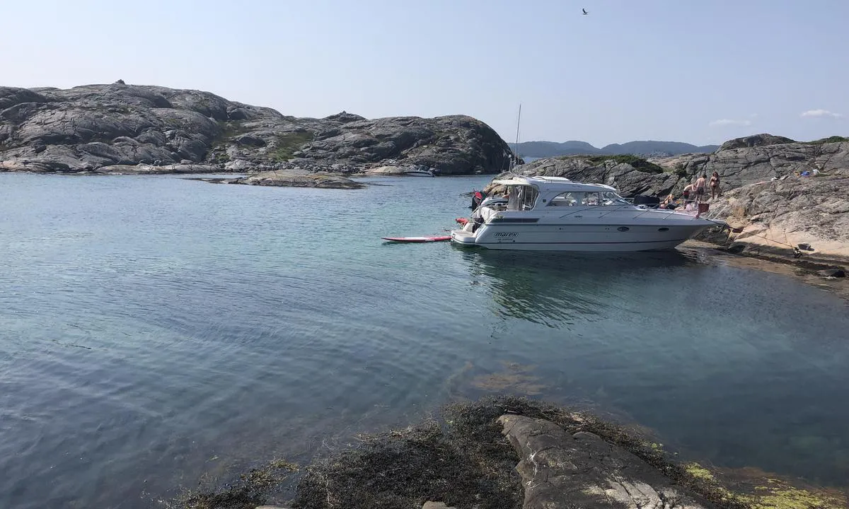 Skudeholman: Bildet er tatt i mot vest. Dybder på 1 - 2 meter i pollen.