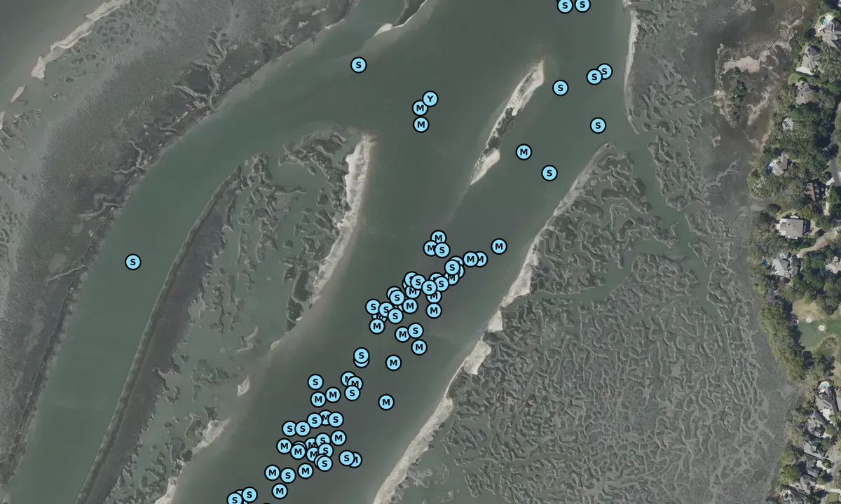 Satelite image of Skull Creek