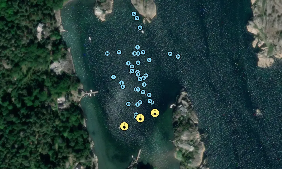 Satelite image of Skutebukta