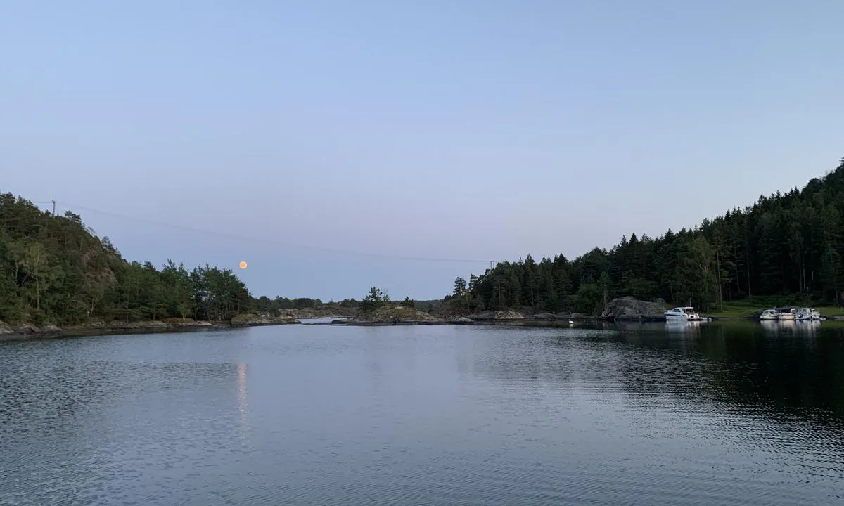 Bilde tatt fra båt på svai midt i Skutevikkilen i måneskinn. Ser mot innseilingen (sør) med kabelstrekk i luften (20m). Litt vanskelig å få feste med ankeret, mye sjøgress. Vær forsiktig forbi det lille skjæret i innseilingen, så nettopp en seilbåt med 1,80m dypgående som gikk på grunn/skrapte nedi. Vi har klart oss fint forbi ved å ligge tett opptil berget på babord side, rundt svingen mot babord på vei inn - det strekker seg en grunne ut fra skjæret på styrbord side. Fint å ha en utkikk i baugen.