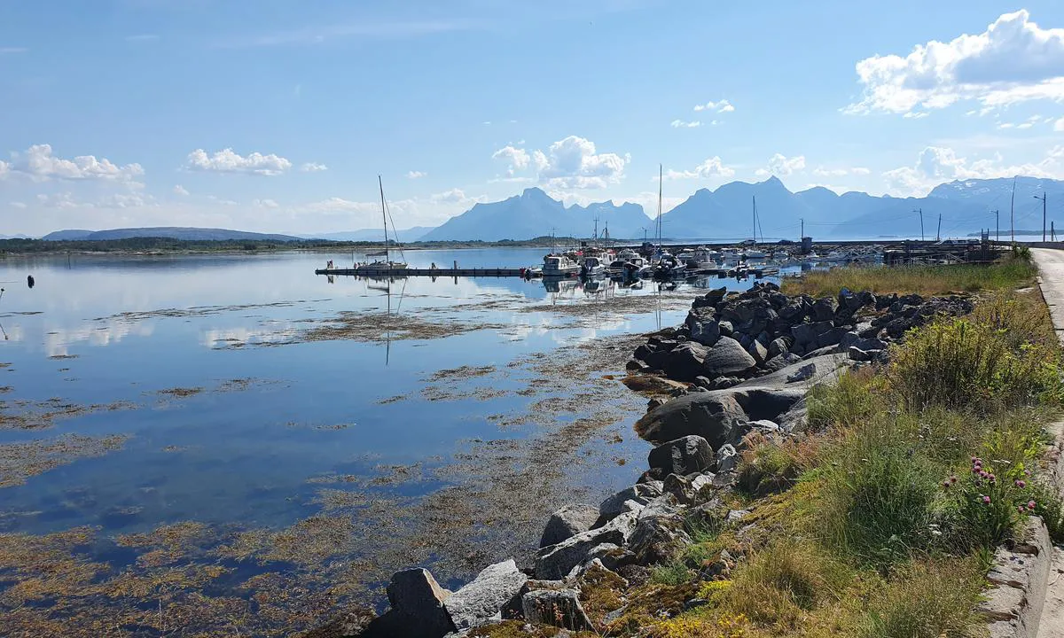 Skutvik Gjestehavn: Ytterste del av flytebrygga, den uten båser, er gjestehavn. Longside fortøyning.