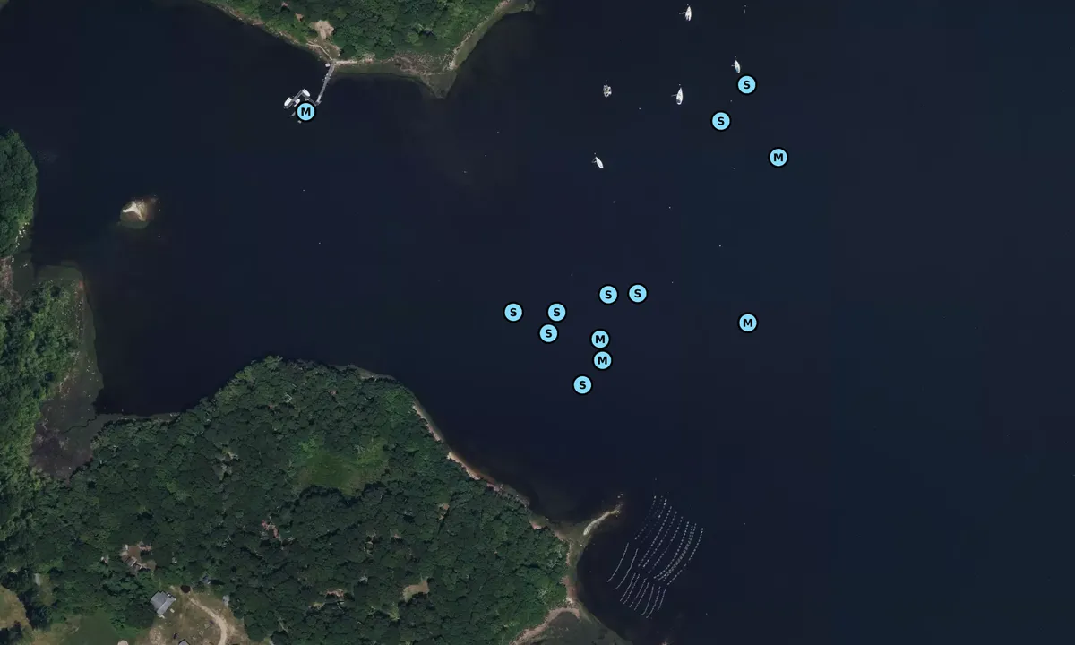 Satelite image of Smelt Brook Cove