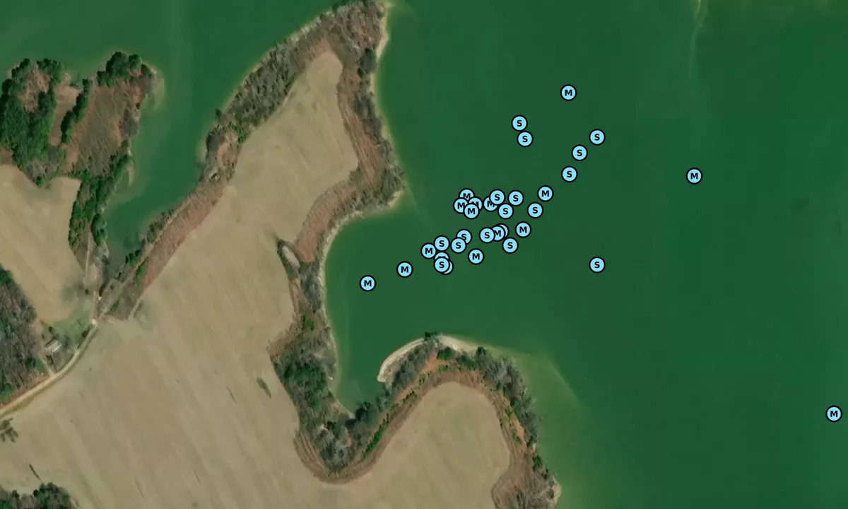 Satelite image of Smith Creek - 2
