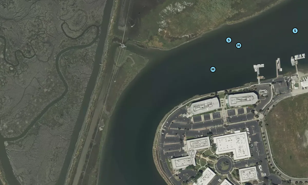 Satelite image of Smith Slough