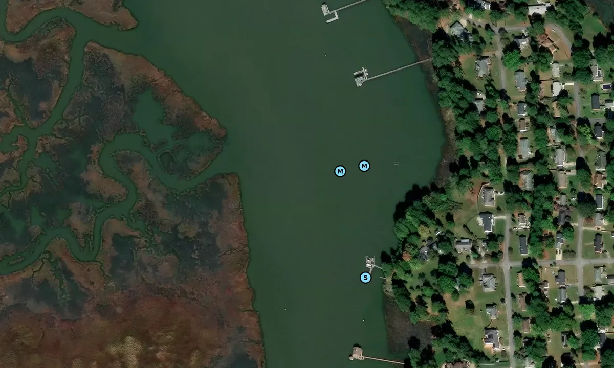 Satelite image of Smithfield, Pagan River