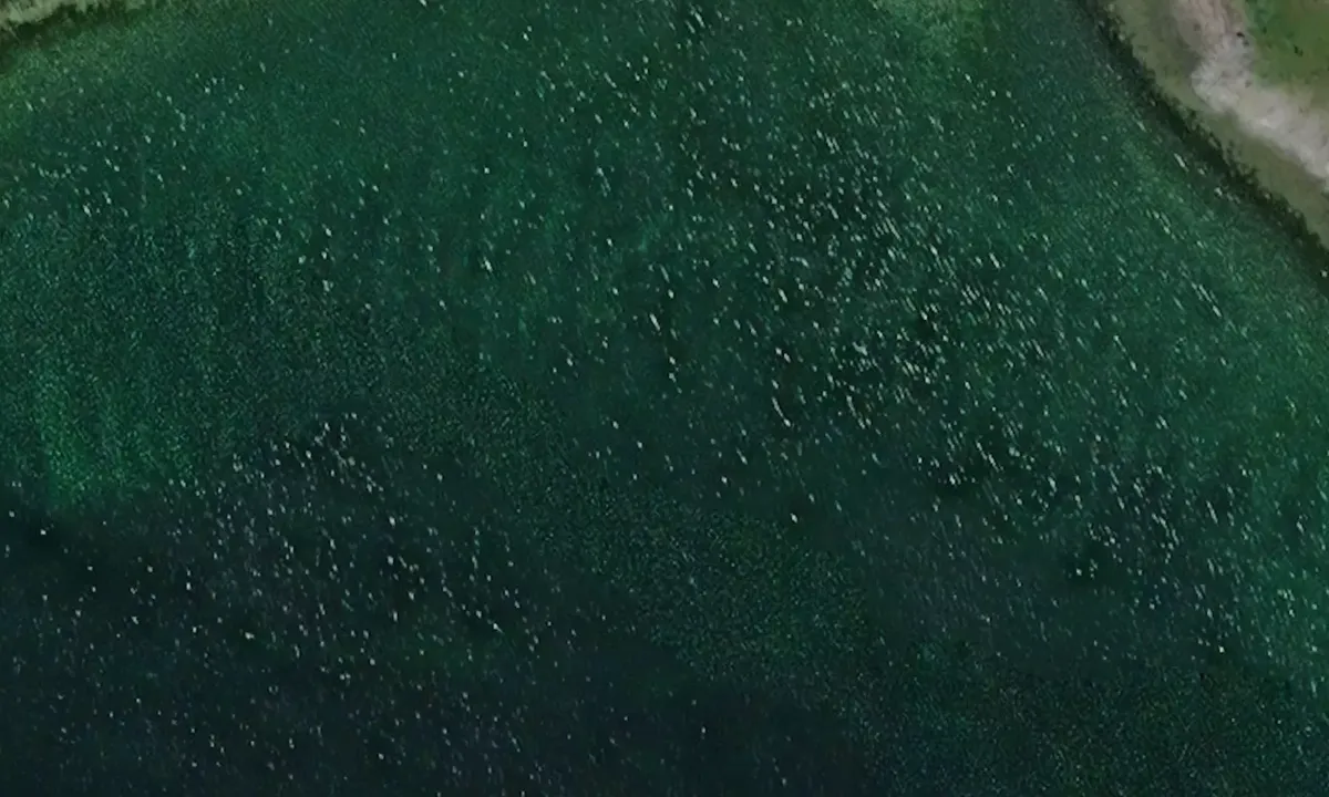 Satelite image of Snaget