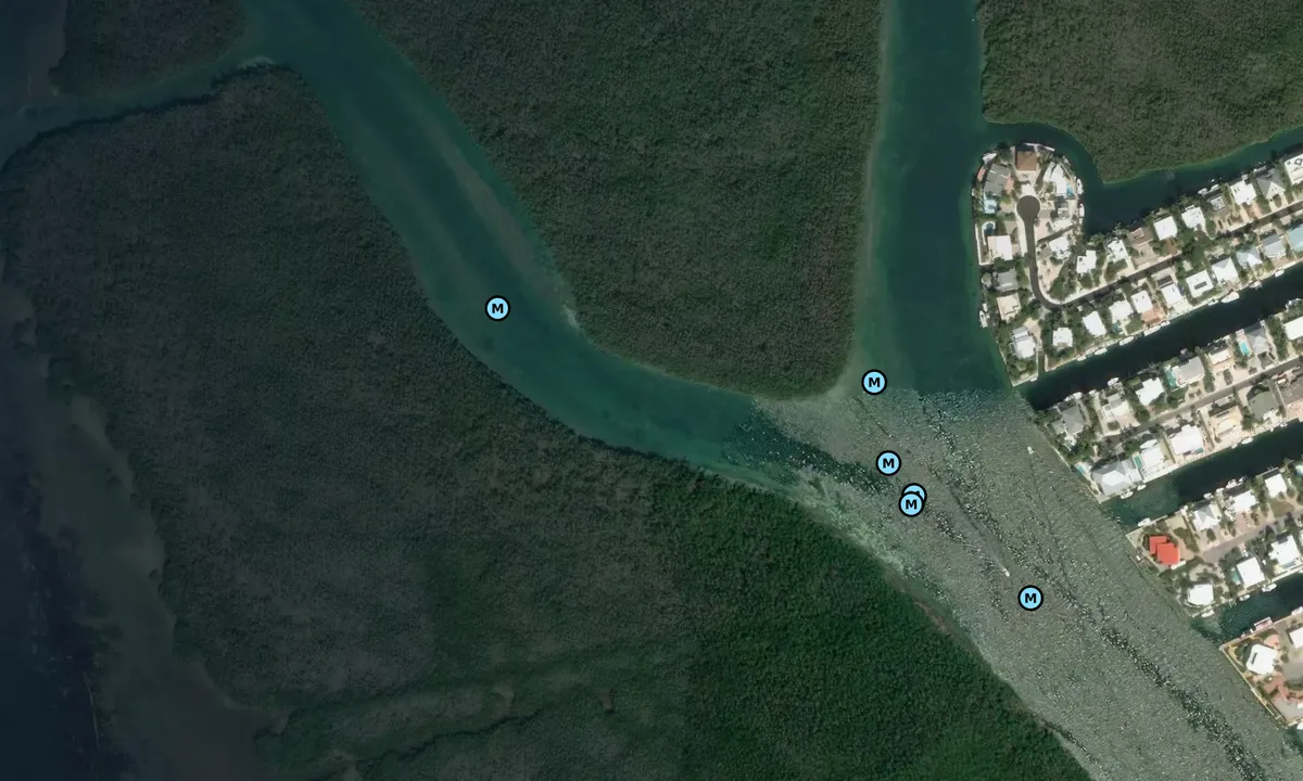 Satelite image of Snake Creek