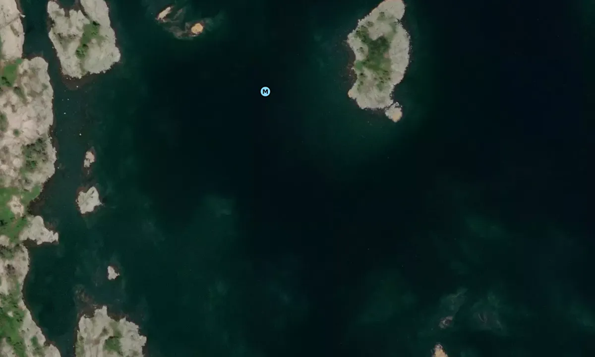 Satelite image of Snake Island 1