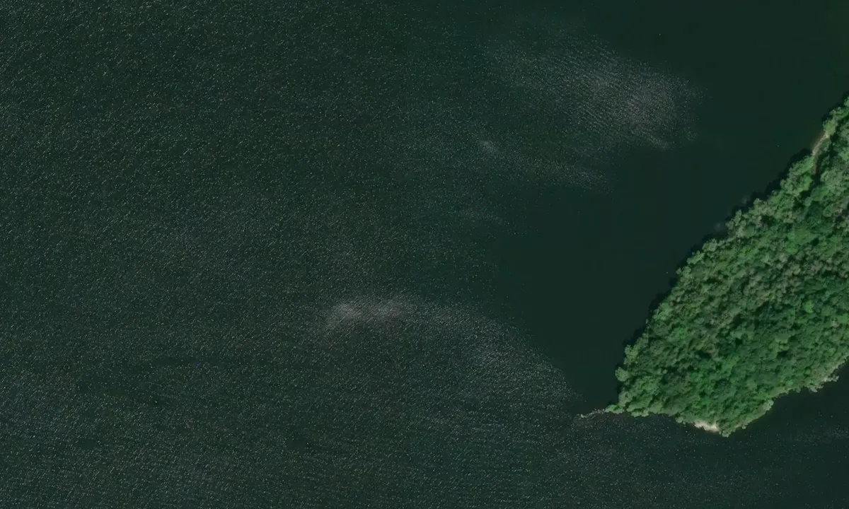 Satelite image of Snake Island 2