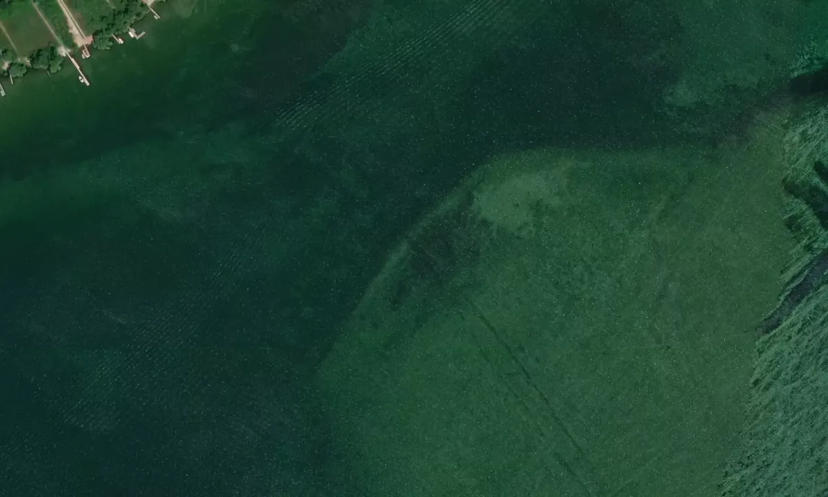 Satelite image of Snake Island - Georgina