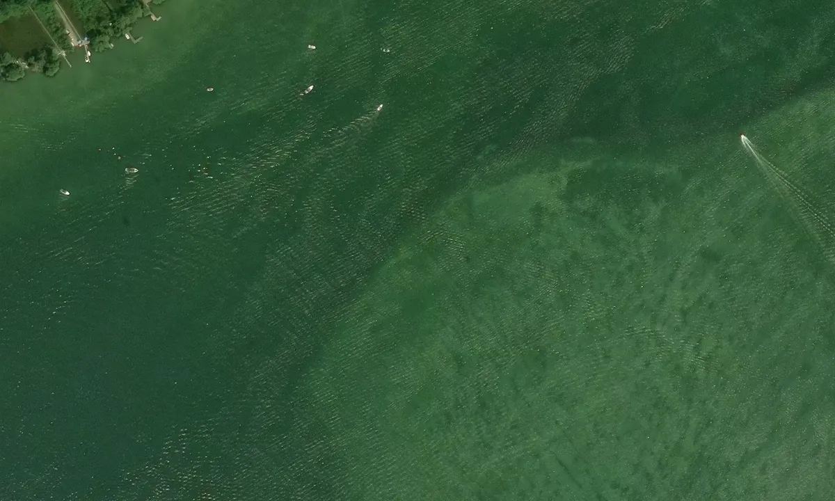 Satelite image of Snake Island - Georgina