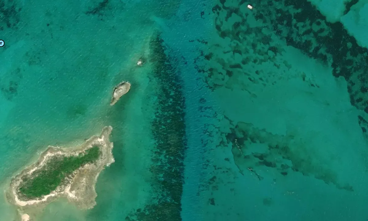 Satelite image of Snorkeling (moorings)
