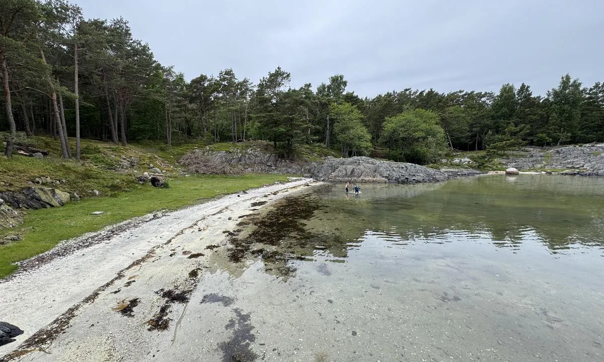 Sokken: {"base": "no", "no": "Fin plass for barn", "se": "Fin plats f\u00f6r barn", "en": "Nice place for children", "da": "Fin plads for b\u00f8rn", "fr": "Endroit id\u00e9al pour les enfants", "de": "Guter Ort f\u00fcr Kinder", "es": "Buen lugar para ni\u00f1os", "it": "Un bel posto per bambini", "pt": "\u00d3timo lugar para crian\u00e7as", "nl": "Leuke plek voor kinderen", "pl": "Dobre miejsce dla dzieci", "uk": "\u0413\u0430\u0440\u043d\u0435 \u043c\u0456\u0441\u0446\u0435 \u0434\u043b\u044f \u0434\u0456\u0442\u0435\u0439", "ro": "Loc bun pentru copii", "tr": "\u00c7ocuklar i\u00e7in iyi bir yer", "el": "\u03a9\u03c1\u03b1\u03af\u03bf \u03bc\u03ad\u03c1\u03bf\u03c2 \u03b3\u03b9\u03b1 \u03c0\u03b1\u03b9\u03b4\u03b9\u03ac", "cs": "Dobr\u00fd prostor pro d\u011bti", "hu": "Kiv\u00e1l\u00f3 hely gyerekeknek", "fi": "Hyv\u00e4 paikka lapsille", "bg": "\u0425\u0443\u0431\u0430\u0432\u043e \u043c\u044f\u0441\u0442\u043e \u0437\u0430 \u0434\u0435\u0446\u0430", "sr": "\u041e\u0434\u043b\u0438\u0447\u043d\u043e \u043c\u0435\u0441\u0442\u043e \u0437\u0430 \u0434\u0435\u0446\u0443", "et": "Hea koht lastele", "lv": "Laba vieta b\u0113rniem", "lt": "Puiki vieta vaikams"}