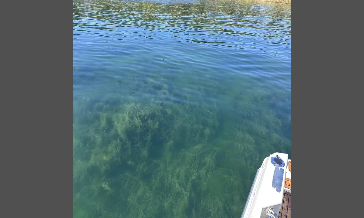 Solbukta: {"base": "no", "no": "Herlig krystallklart vann", "se": "H\u00e4rligt kristallklart vatten", "en": "Delightful crystal-clear water", "da": "Herlig krystalklart vand", "fr": "Eau cristalline magnifique", "de": "Herrlich kristallklares Wasser", "es": "Agua cristalina maravillosa", "it": "Acqua cristallina meravigliosa", "pt": "\u00c1gua cristalina maravilhosa", "nl": "Heerlijk kristalhelder water", "pl": "Cudownie krystalicznie czysta woda", "uk": "\u0427\u0443\u0434\u043e\u0432\u0430 \u043a\u0440\u0438\u0441\u0442\u0430\u043b\u044c\u043d\u043e \u0447\u0438\u0441\u0442\u0430 \u0432\u043e\u0434\u0430", "ro": "Ap\u0103 cristalin\u0103 minunat\u0103", "tr": "Harika kristal berrakl\u0131\u011f\u0131nda su", "el": "\u03a5\u03c0\u03ad\u03c1\u03bf\u03c7\u03b1 \u03ba\u03c1\u03c5\u03c3\u03c4\u03ac\u03bb\u03bb\u03b9\u03bd\u03b1 \u03bd\u03b5\u03c1\u03ac", "cs": "N\u00e1dhern\u011b k\u0159i\u0161\u0165\u00e1lov\u011b \u010dist\u00e1 voda", "hu": "Csod\u00e1latos krist\u00e1lytiszta v\u00edz", "fi": "Ihana kristallinkirkas vesi", "bg": "\u041f\u0440\u0435\u043a\u0440\u0430\u0441\u043d\u0430 \u043a\u0440\u0438\u0441\u0442\u0430\u043b\u043d\u043e \u0447\u0438\u0441\u0442\u0430 \u0432\u043e\u0434\u0430", "sr": "Predivna kristalno \u010dista voda", "et": "Imeline kristallselge vesi", "lv": "Lieliski krist\u0101ldzidrs \u016bdens", "lt": "Nuostabus kri\u0161tolo skaidrumo vanduo"}