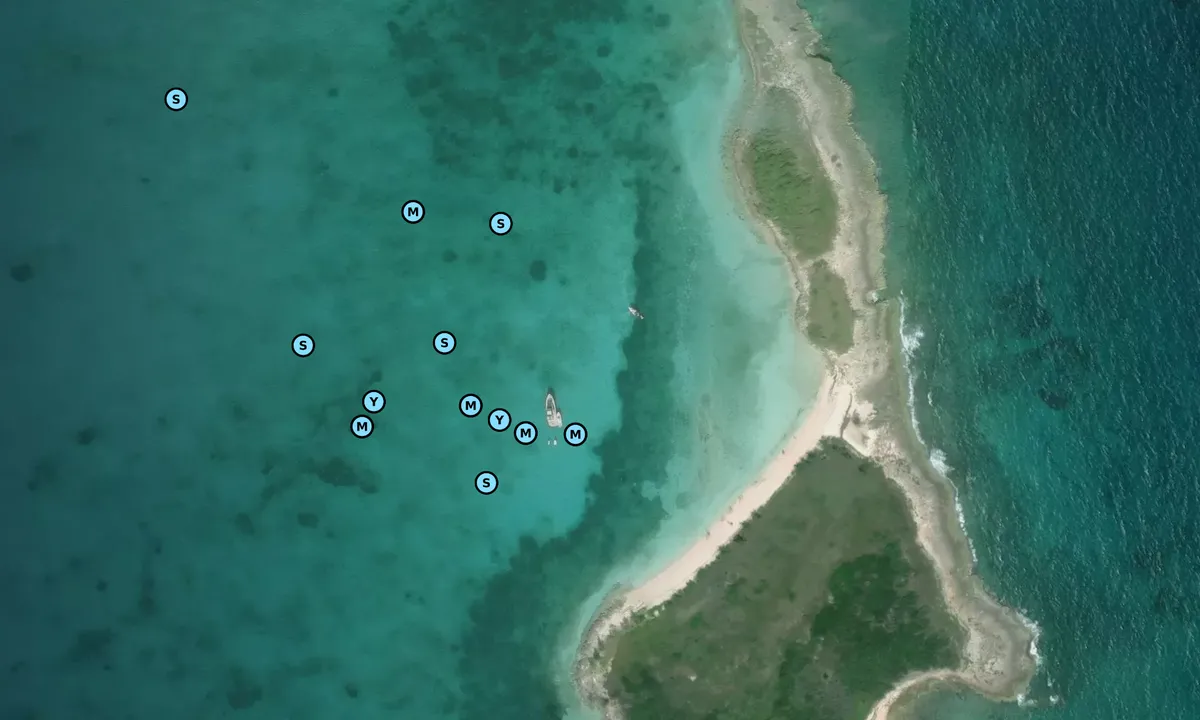 Satelite image of Soldier Cay