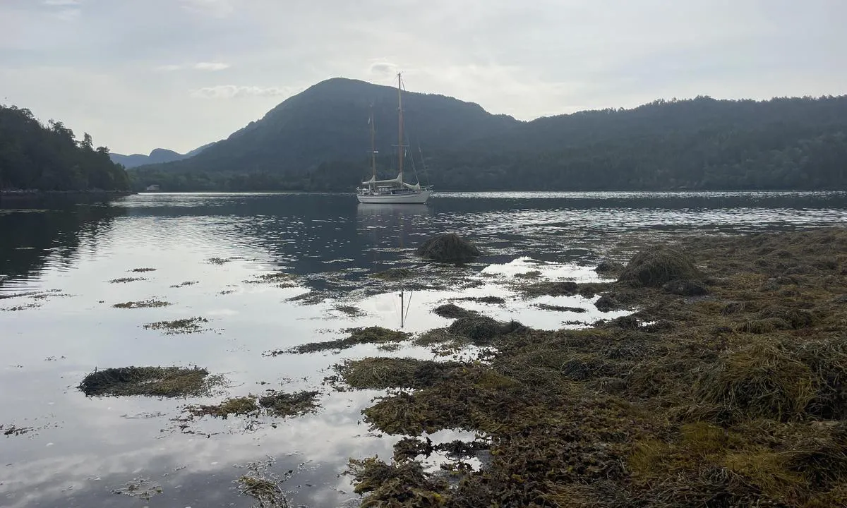 Solnørvika: {"base": "en", "no": "Slammet strand", "se": "Lerig strand", "en": "Muddy shore", "da": "Mudderkyst", "fr": "Rivage boueux", "de": "Schlammiger Ufer", "es": "Costa fangosa", "it": "Riva fangosa", "pt": "Costa lamacenta", "nl": "Modderige oever", "pl": "Muliste wybrze\u017ce", "uk": "\u041c\u0443\u043b\u043e\u0432\u0435 \u0443\u0437\u0431\u0435\u0440\u0435\u0436\u0436\u044f", "ro": "Mal n\u0103molos", "tr": "\u00c7amurlu k\u0131y\u0131", "el": "\u039b\u03b1\u03c3\u03c0\u03ce\u03b4\u03b7\u03c2 \u03b1\u03ba\u03c4\u03ae", "cs": "Bahnit\u00fd b\u0159eh", "hu": "Iszapos part", "fi": "Mutainen ranta", "bg": "\u041a\u0430\u043b\u0438\u0441\u0442 \u0431\u0440\u044f\u0433", "sr": "\u0411\u043b\u0430\u0442\u045a\u0430\u0432\u0430 \u043e\u0431\u0430\u043b\u0430", "et": "Muda rannik", "lv": "Dub\u013caina piekraste", "lt": "Purvinas krantas"}