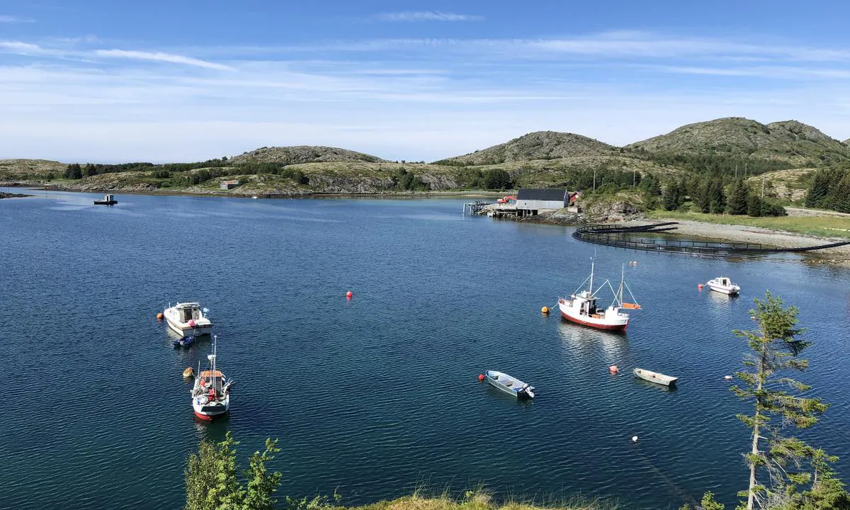 Solsemvågen sett fra sydøst.