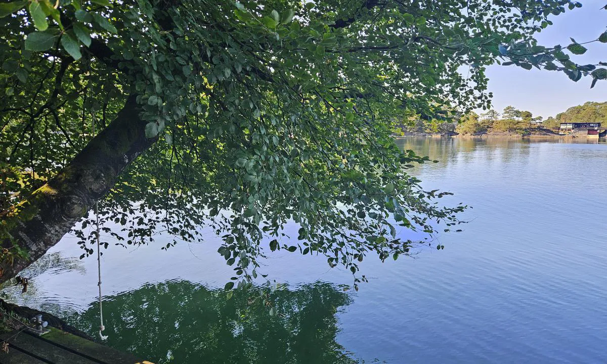 Solstråleøya - Nord: {"base": "no", "no": "Jollebrygge p\u00e5 nordvestsiden av \u00f8ya. Her er det ogs\u00e5 en liten badeplass med trapp (\"Adas badeplass\").", "se": "Jollebrygga p\u00e5 nordv\u00e4stsidan av \u00f6n. H\u00e4r finns ocks\u00e5 en liten badplats med trappa (\"Adas badplats\").", "en": "Dinghy dock on the northwest side of the island. There is also a small bathing area with a ladder ('Ada's bathing place').", "da": "Jollebro p\u00e5 den nordvestlige side af \u00f8en. Her er der ogs\u00e5 en lille badeplads med trappe (\"Adas badeplads\").", "fr": "Quai pour canots sur le c\u00f4t\u00e9 nord-ouest de l'\u00eele. Il y a aussi une petite plage avec un escalier (\u00ab plage de baignade d'Ada \u00bb).", "de": "Dingisteg an der Nordwestseite der Insel. Hier gibt es auch einen kleinen Badeplatz mit Treppe (\"Adas Badeplatz\").", "es": "Muelle para botes peque\u00f1os en el lado noroeste de la isla. Aqu\u00ed tambi\u00e9n hay una peque\u00f1a zona de ba\u00f1o con escalera (\"Adas badeplass\").", "it": "Ponte per tender sul lato nord-ovest dell'isola. Qui c'\u00e8 anche una piccola area per nuotare con una scala (\"Adas badeplass\").", "pt": "P\u00eder para barcos no lado noroeste da ilha. Aqui tamb\u00e9m h\u00e1 um pequeno local para banho com escada (\"Praia de Ada\").", "nl": "Bijbootsteiger aan de noordwestkant van het eiland. Hier is ook een kleine zwemplek met trap ('Adas zwemplek').", "pl": "Nabrze\u017ce dla \u0142odzi na p\u00f3\u0142nocno-zachodniej stronie wyspy. Znajduje si\u0119 tu r\u00f3wnie\u017c ma\u0142e k\u0105pielisko ze schodami (\"Pla\u017ca Ady\").", "uk": "\u041f\u0440\u0438\u0447\u0430\u043b \u0434\u043b\u044f \u0448\u043b\u044e\u043f\u043e\u043a \u043d\u0430 \u043f\u0456\u0432\u043d\u0456\u0447\u043d\u043e-\u0437\u0430\u0445\u0456\u0434\u043d\u0456\u0439 \u0441\u0442\u043e\u0440\u043e\u043d\u0456 \u043e\u0441\u0442\u0440\u043e\u0432\u0430. \u0422\u0443\u0442 \u0442\u0430\u043a\u043e\u0436 \u0454 \u043c\u0430\u043b\u0435\u043d\u044c\u043a\u0435 \u043c\u0456\u0441\u0446\u0435 \u0434\u043b\u044f \u043a\u0443\u043f\u0430\u043d\u043d\u044f \u0437 \u0434\u0440\u0430\u0431\u0438\u043d\u043e\u044e (\u00ab\u041c\u0456\u0441\u0446\u0435 \u0434\u043b\u044f \u043a\u0443\u043f\u0430\u043d\u043d\u044f \u0410\u0434\u0438\u00bb).", "ro": "Ponton pentru b\u0103rci mici pe partea de nord-vest a insulei. Aici se afl\u0103 \u0219i o mic\u0103 plaj\u0103 cu scar\u0103 (\"Plaja Adas\").", "tr": "Adan\u0131n kuzeybat\u0131 taraf\u0131nda bir sandal iskelesi. Burada ayr\u0131ca merdivenli k\u00fc\u00e7\u00fck bir y\u00fczme alan\u0131 bulunmaktad\u0131r (\"Adas badeplass\").", "el": "\u03a0\u03c1\u03bf\u03b2\u03bb\u03ae\u03c4\u03b1 \u03b3\u03b9\u03b1 \u03bc\u03b9\u03ba\u03c1\u03ad\u03c2 \u03b2\u03ac\u03c1\u03ba\u03b5\u03c2 \u03c3\u03c4\u03b7 \u03b2\u03bf\u03c1\u03b5\u03b9\u03bf\u03b4\u03c5\u03c4\u03b9\u03ba\u03ae \u03c0\u03bb\u03b5\u03c5\u03c1\u03ac \u03c4\u03bf\u03c5 \u03bd\u03b7\u03c3\u03b9\u03bf\u03cd. \u0395\u03b4\u03ce \u03c5\u03c0\u03ac\u03c1\u03c7\u03b5\u03b9 \u03b5\u03c0\u03af\u03c3\u03b7\u03c2 \u03bc\u03b9\u03b1 \u03bc\u03b9\u03ba\u03c1\u03ae \u03c0\u03b5\u03c1\u03b9\u03bf\u03c7\u03ae \u03b3\u03b9\u03b1 \u03ba\u03bf\u03bb\u03cd\u03bc\u03c0\u03b9 \u03bc\u03b5 \u03c3\u03ba\u03ac\u03bb\u03b1 (\u00ab\u03a0\u03b5\u03c1\u03b9\u03bf\u03c7\u03ae \u03ba\u03bf\u03bb\u03cd\u03bc\u03b2\u03b7\u03c3\u03b7\u03c2 \u03c4\u03b7\u03c2 \u0386\u03bd\u03c4\u03b1\u03c2\u00bb).", "cs": "Molo pro mal\u00e9 lod\u011b na severoz\u00e1padn\u00ed stran\u011b ostrova. Zde je tak\u00e9 mal\u00e9 koupali\u0161t\u011b se schody (\"Adas badeplass\").", "hu": "Cs\u00f3nakkik\u00f6t\u0151 a sziget \u00e9szaknyugati oldal\u00e1n. Itt tal\u00e1lhat\u00f3 egy kis f\u00fcrd\u0151hely l\u00e9pcs\u0151vel (\"Adas f\u00fcrd\u0151hely\").", "fi": "Laituri luoteisrannalla. T\u00e4\u00e4ll\u00e4 on my\u00f6s pieni uimapaikka portaita k\u00e4ytt\u00e4en (\"Adan uimapaikka\").", "bg": "\u041f\u0440\u0438\u0441\u0442\u0430\u043d \u0437\u0430 \u043c\u0430\u043b\u043a\u0438 \u043b\u043e\u0434\u043a\u0438 \u043d\u0430 \u0441\u0435\u0432\u0435\u0440\u043e\u0437\u0430\u043f\u0430\u0434\u043d\u0430\u0442\u0430 \u0441\u0442\u0440\u0430\u043d\u0430 \u043d\u0430 \u043e\u0441\u0442\u0440\u043e\u0432\u0430. \u0422\u0443\u043a \u0438\u043c\u0430 \u0438 \u043c\u0430\u043b\u044a\u043a \u043f\u043b\u0430\u0436 \u0441 \u0441\u0442\u044a\u043b\u0431\u0430 (\"\u0411\u0430\u043d\u044f \u043f\u043b\u0430\u0436 \u043d\u0430 \u0410\u0434\u0430\").", "sr": "\u040f\u043e\u043b\u0435\u0431\u0440\u0438\u0433\u0430 \u043d\u0430 \u0441\u0435\u0432\u0435\u0440\u043e\u0437\u0430\u043f\u0430\u0434\u043d\u043e\u0458 \u0441\u0442\u0440\u0430\u043d\u0438 \u043e\u0441\u0442\u0440\u0432\u0430. \u041e\u0432\u0434\u0435 \u0441\u0435 \u043d\u0430\u043b\u0430\u0437\u0438 \u0438 \u043c\u0430\u043b\u0430 \u043f\u043b\u0430\u0436\u0430 \u0441\u0430 \u0441\u0442\u0435\u043f\u0435\u043d\u0438\u0446\u0430\u043c\u0430 (\u201e\u0410\u0434\u0438\u043d\u0430 \u043f\u043b\u0430\u0436\u0430\u201c).", "et": "Paadikai p\u00f5hjapoolsel k\u00fcljel on v\u00e4ike ujumiskoht trepiaga (\u201eAdase ujumiskoht\u201d).", "lv": "Laivu piest\u0101tne salas zieme\u013crietumu pus\u0113. Te ir ar\u012b neliela peldvieta ar k\u0101pn\u0113m (\"Adas peldvieta\").", "lt": "\u0160iaur\u0117s vakarin\u0117je salos pus\u0117je yra ma\u017easis laivo prieplauka. \u010cia taip pat yra nedidel\u0117 maudymosi vieta su laiptais (\u201eAdos maudymosi vieta\u201c)."}