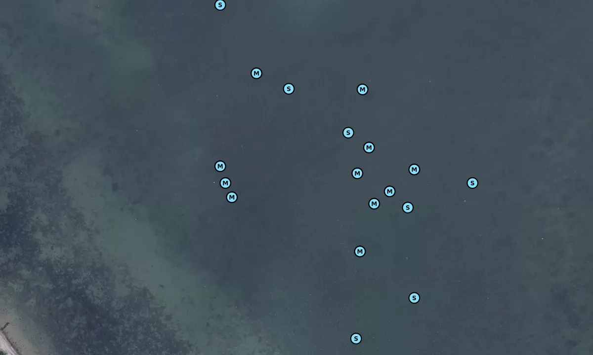 Satelite image of sommerlyst Ærø bouy