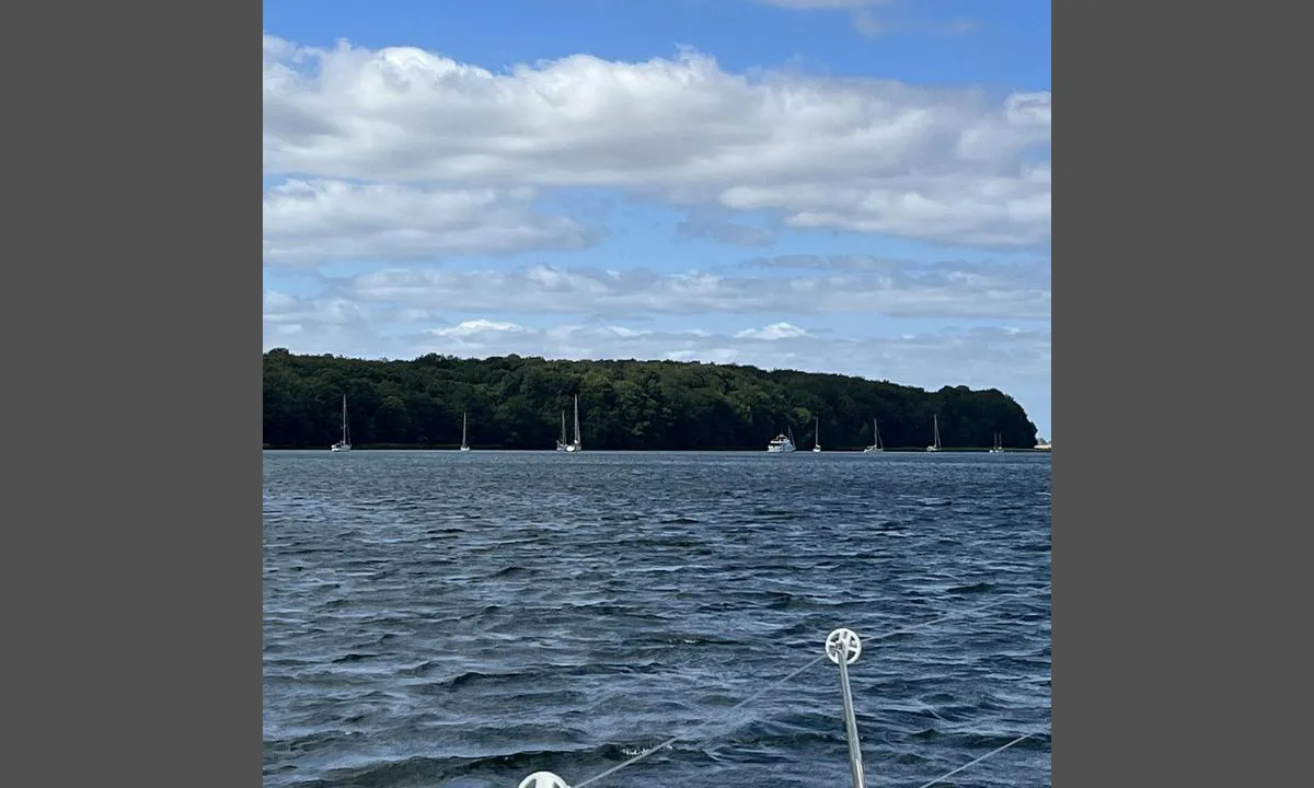 Sønderborg Yacht-Club bouy: Fin svaiplass i le av bøkeskogen ved Sottrups skov