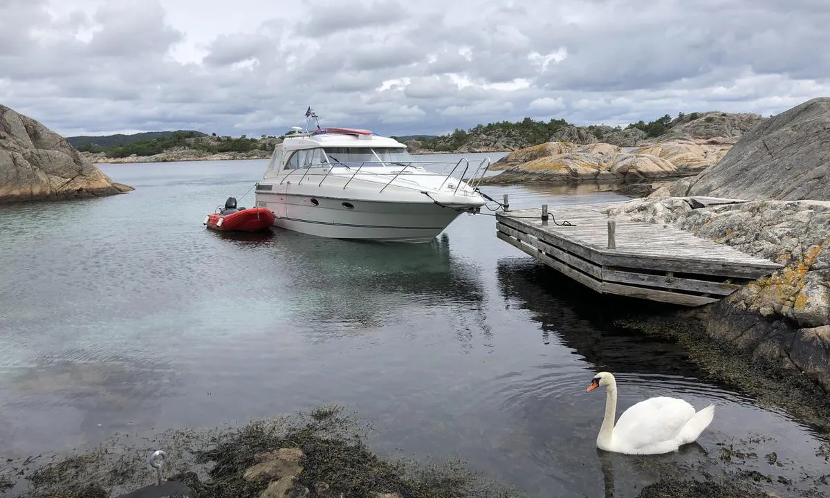 Søndre Vassøy: Slipp dreggen nærmest mulig fjellet motsatt av brygga. Dybder på 1,5 meter. 
Fin liten sandstrand inne i bukta her.