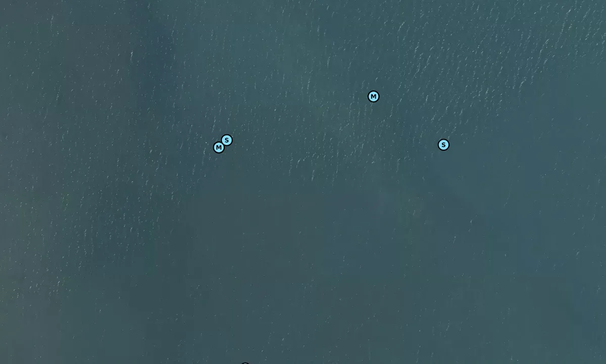 Satelite image of Sortsøhestehave bouy